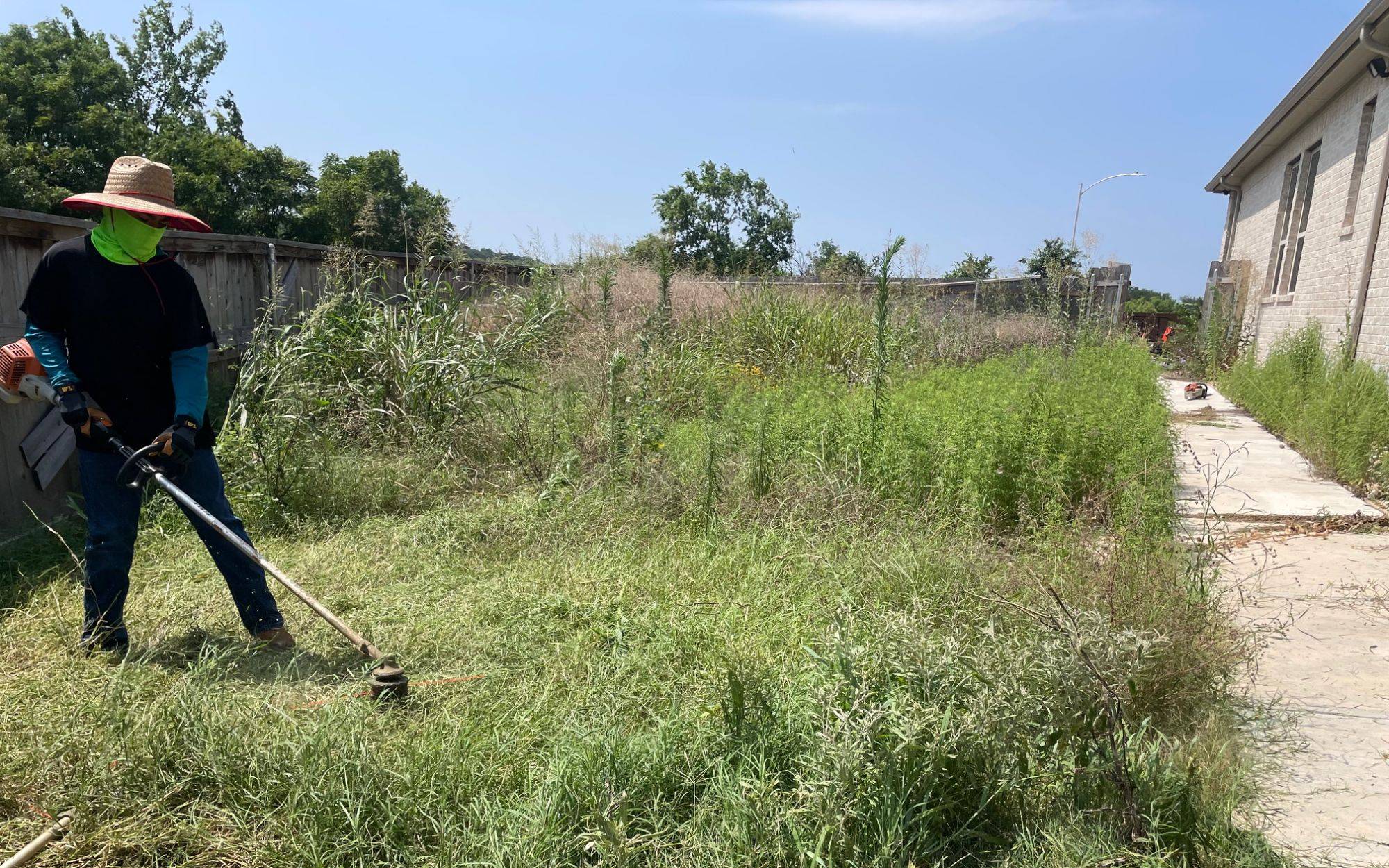 Padron Lawn & Tree (5)