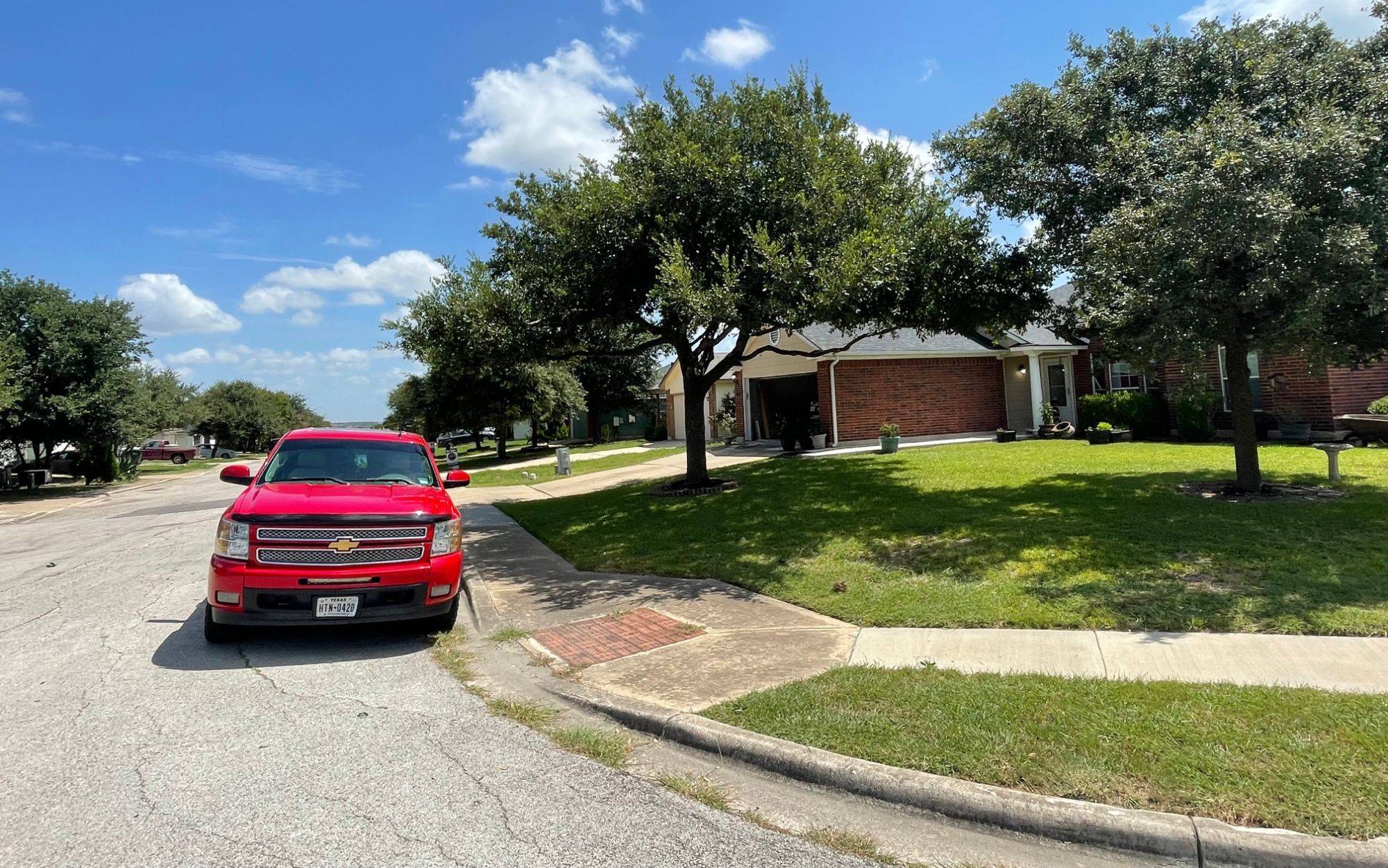 Padron Lawn & Tree (7)