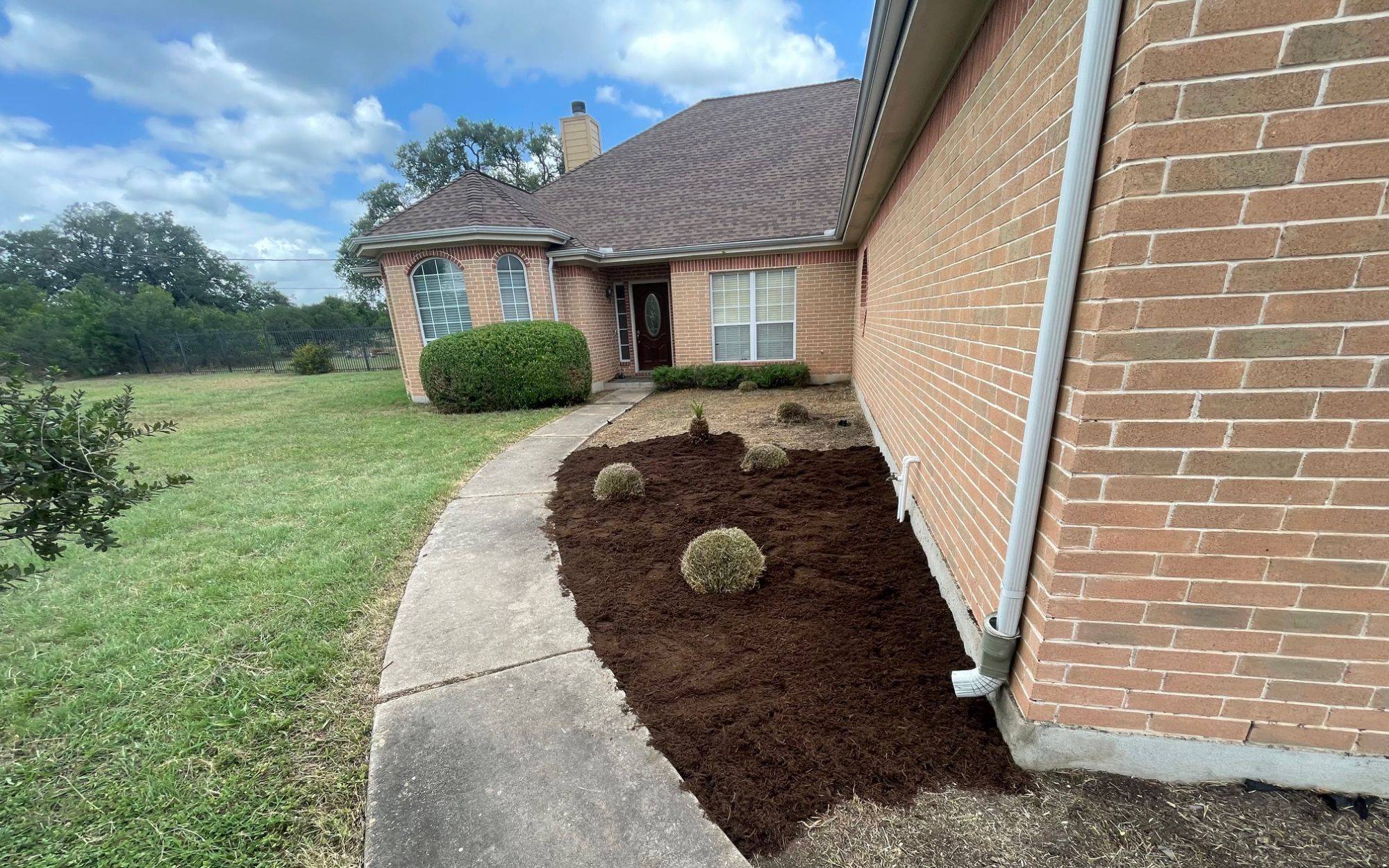 Padron Lawn & Tree (8)