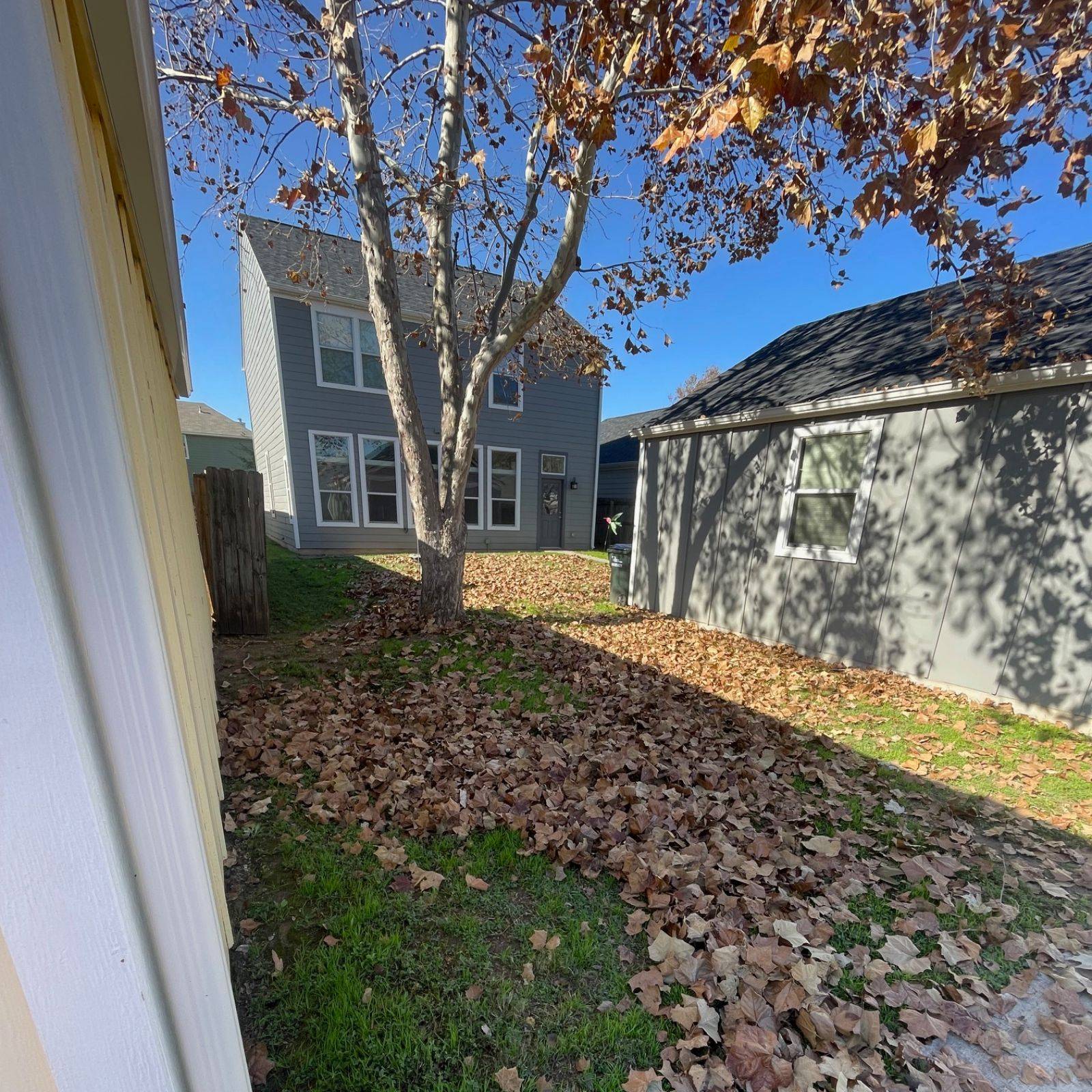 Padron Lawn & Tree Gallery (1)