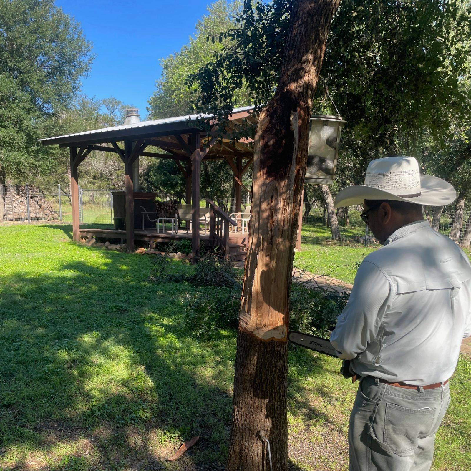 Padron Lawn & Tree Gallery (11)