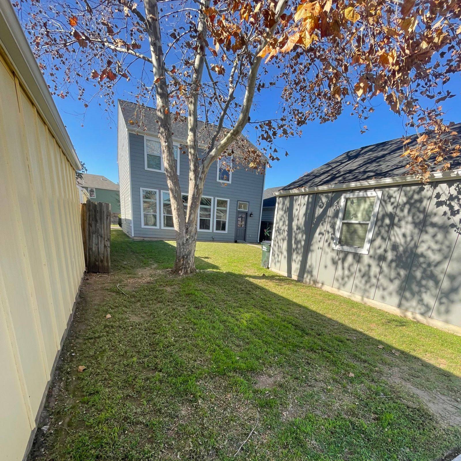 Padron Lawn & Tree Gallery (2)