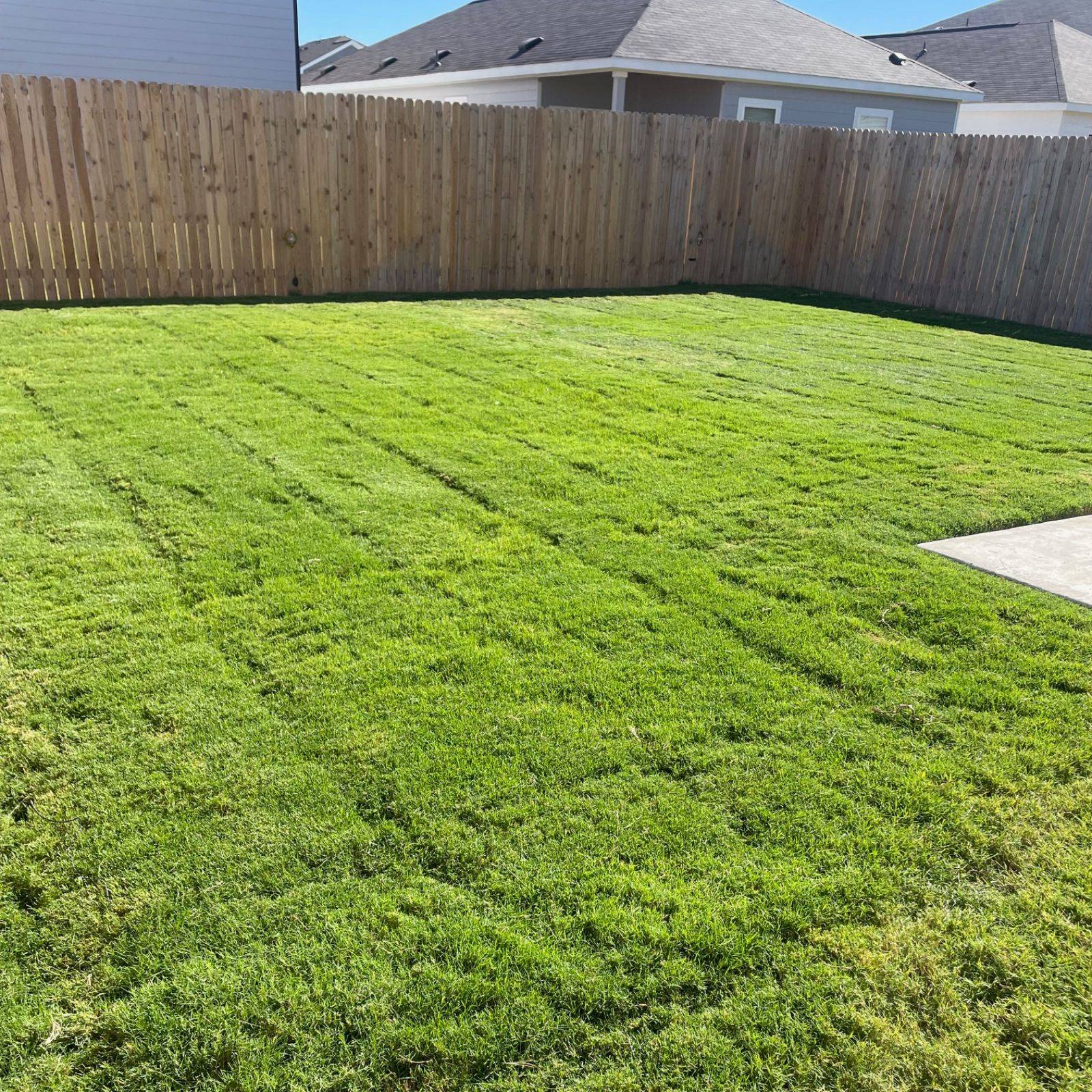 Padron Lawn & Tree Gallery (3)