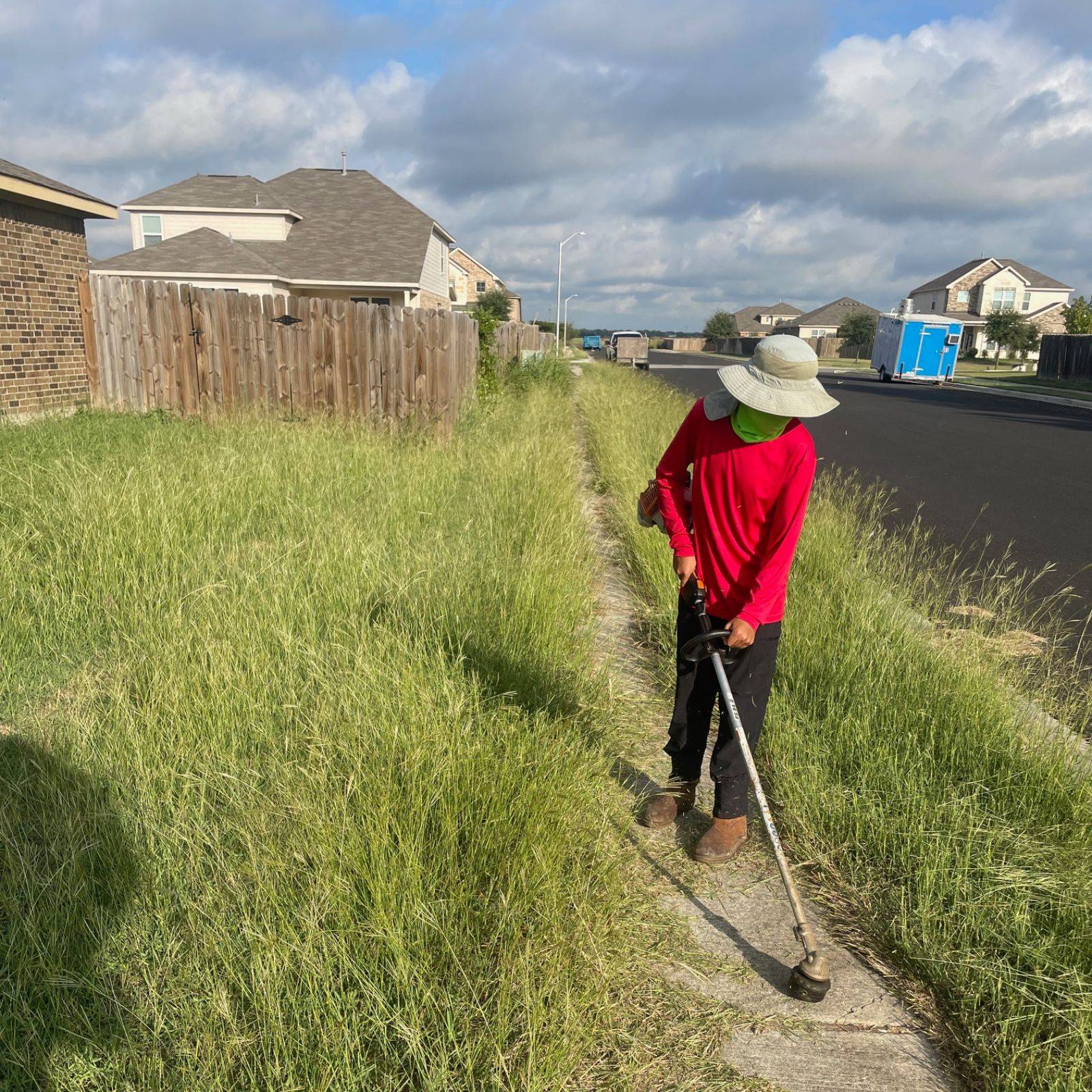 Padron Lawn & Tree Gallery (4)