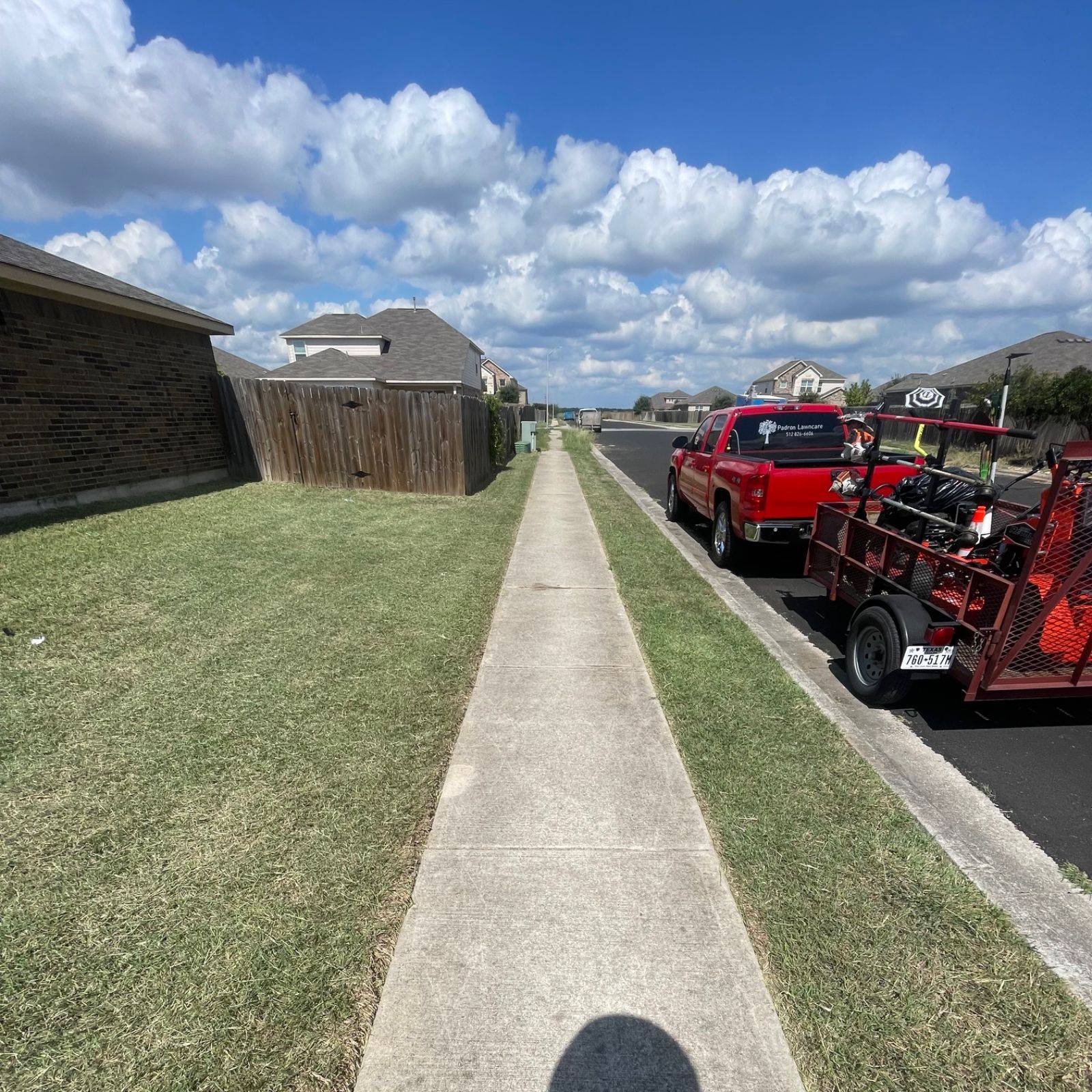 Padron Lawn & Tree Gallery (5)