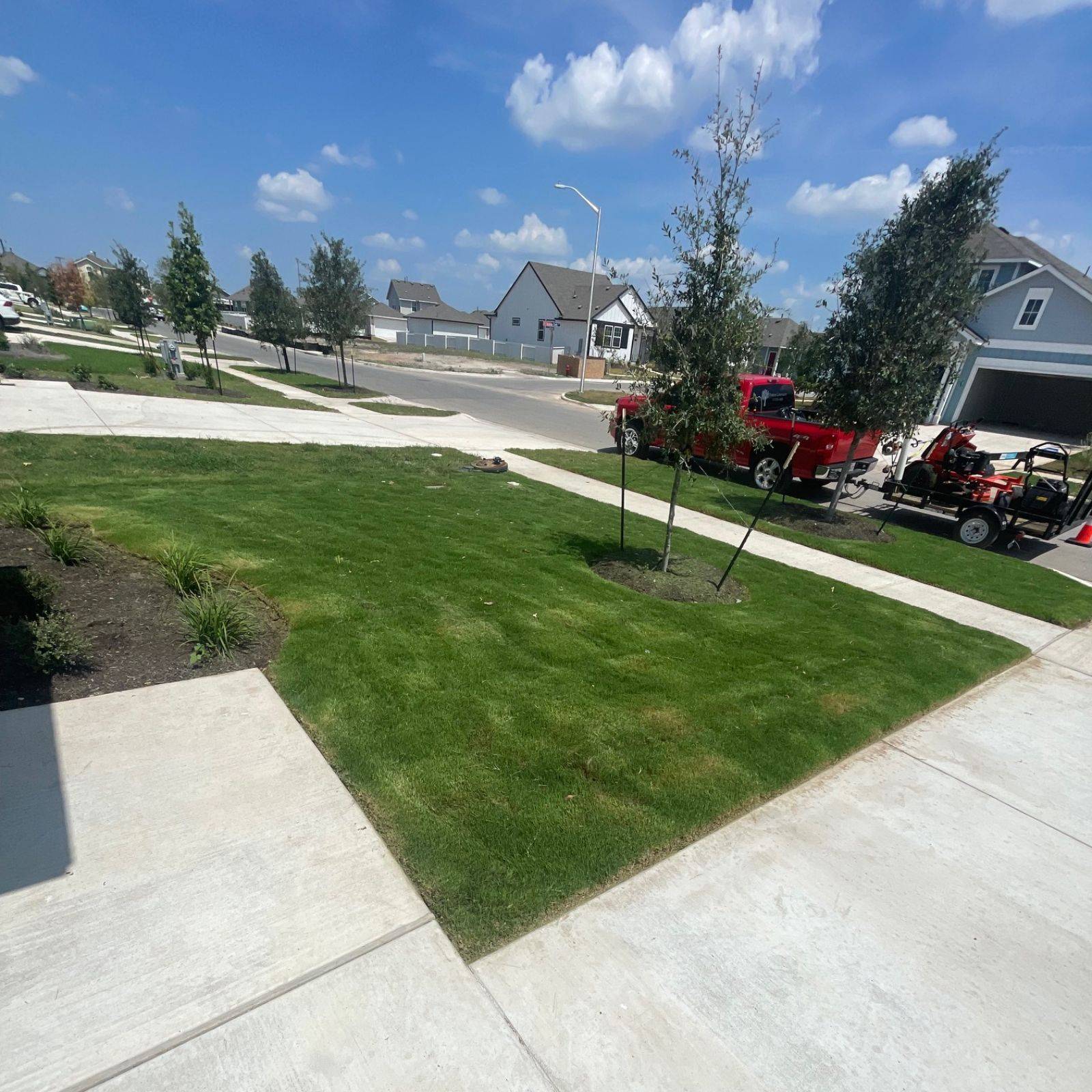 Padron Lawn & Tree Gallery (6)