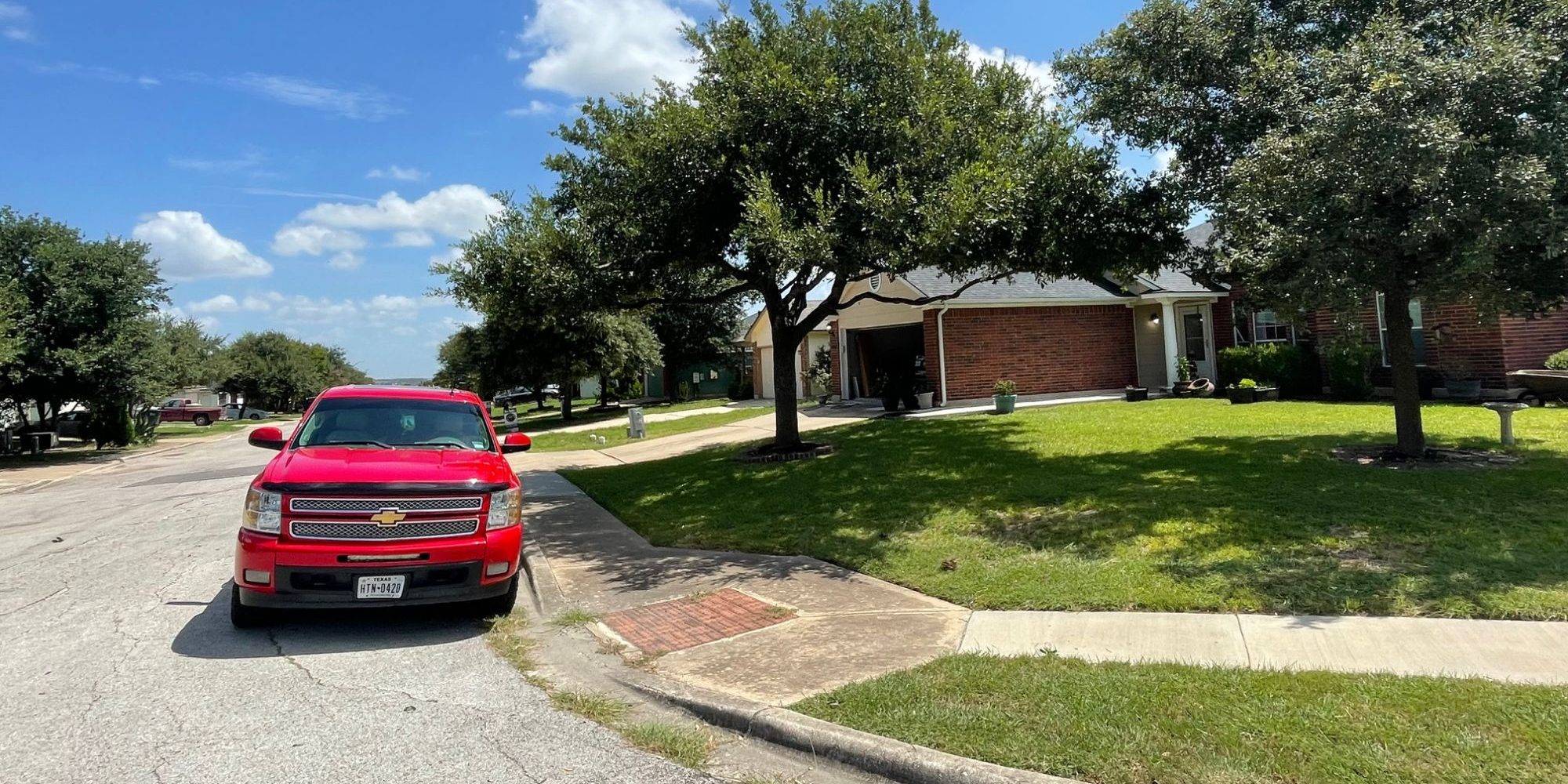 Padron Lawn & Tree (7)