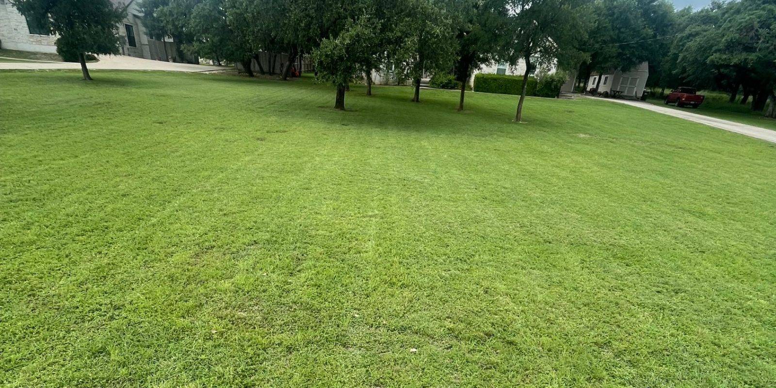 Padron Lawn & Tree Gallery (18)