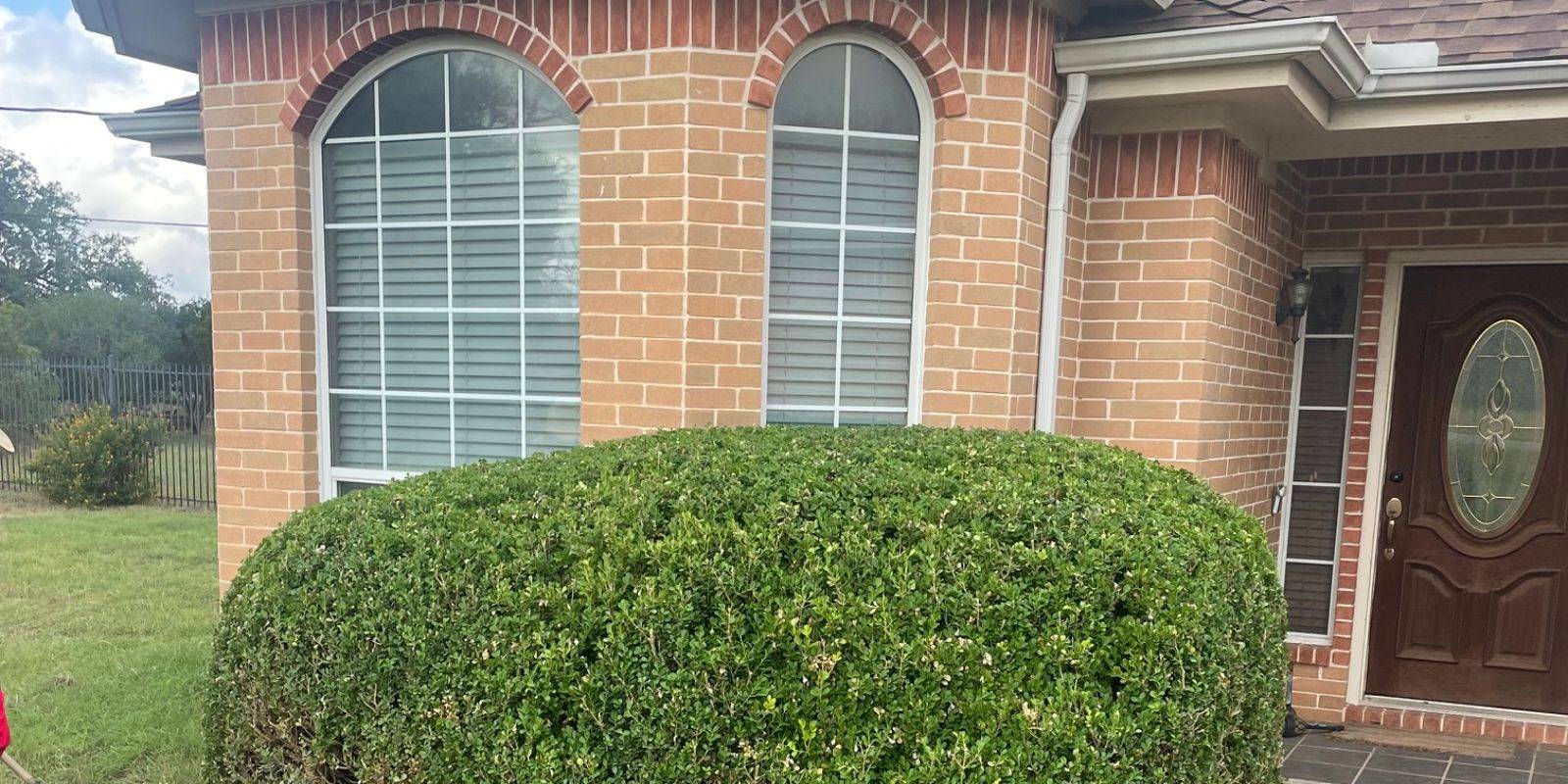 Padron Lawn & Tree Gallery (21)